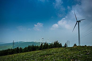 赛车题材电影《F1》发布全新视频